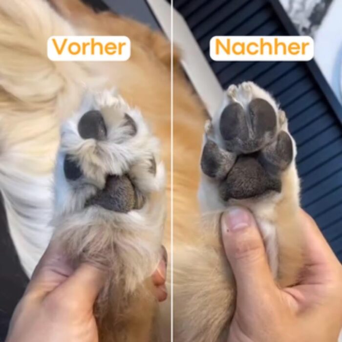 Триммер для собак PawTrim Pro - безболісний догляд за подушечками лап, електричний (1 шт)