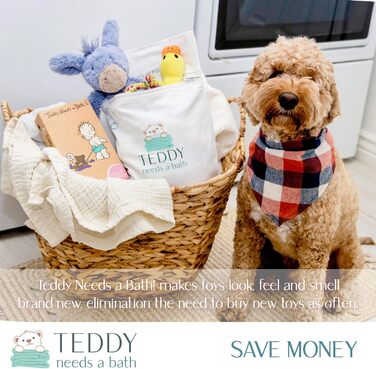 Teddy needs a pet bath and kids' toys. Laundry bag for the dryer.