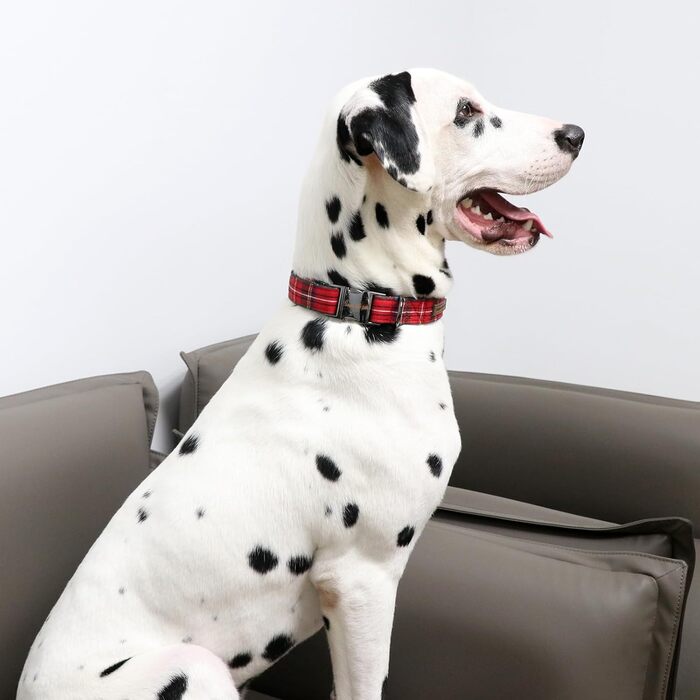 Нашийник для собак Unique Style Paws, регульований, м'який та зручний, в клітинку, для малих, середніх та великих собак, обхват шиї 25,4–40,6 см, червоний