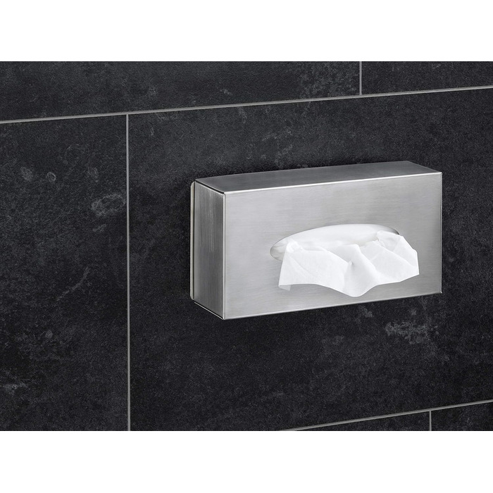 AMARE, Stainless Steel, Silver, Cosmetic Tissue Box