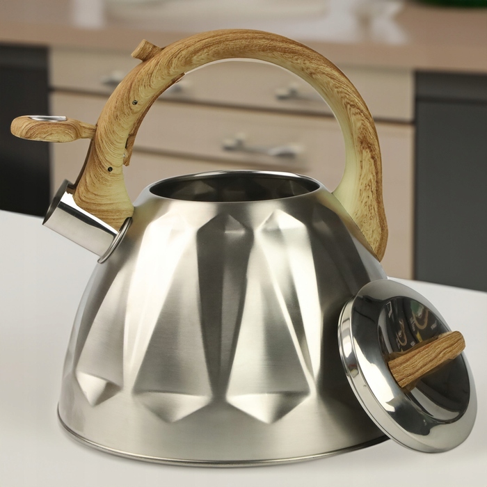 Класичний сталевий чайник Karl Hausmann, 3 л, сірий