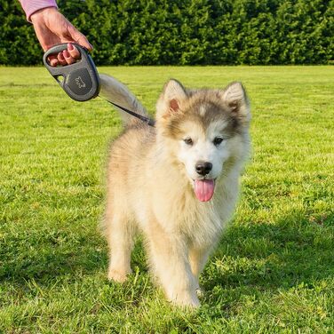 Рулетка для собак Ferplast Flippy ONE, середні породи до 25 кг, 5 м, чорний