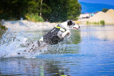 Жилет для собак Julius-K9 IDC 3в1, розмір L, чорний та неоновий, чорний та UV-помаранчевий