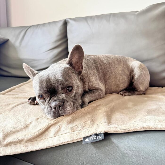 М'яка підстилка для собак та котів 60x40 см, бежева - 4L Textil