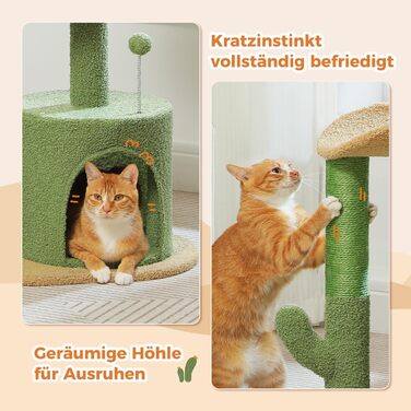 PETEPELA Cactus Scratch Tree Small 84cm Modern Cat Tree Detachable Top Bed, Plush Cave, 2 Sisal Posts, 2 Play Balls, Green