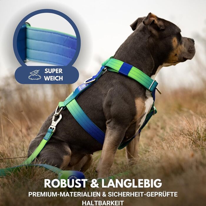 Шлейка для собак Spark Paws No Pull для великих порід, з переднім кріпленням, Y-подібна, міцна та надійна, Lime Wave, L (36-68 кг)