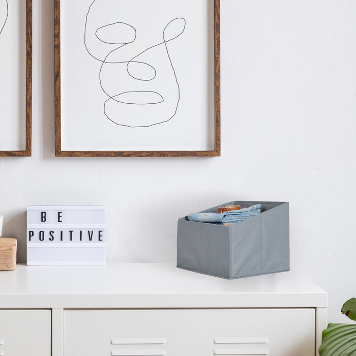 Relaxdays Storage Boxes, Felt, 2-Pack