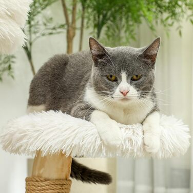 Дерево для котів PawHut з іграшками, когтеточкою з сизалевого мотузка, 35,5 x 37 x 46 см