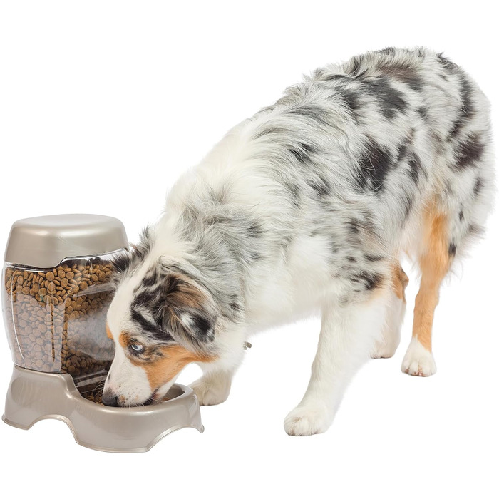 Автомат для годування домашніх тварин Petmate Pet Café, перламутровий, 3 розміри, 6 фунтів