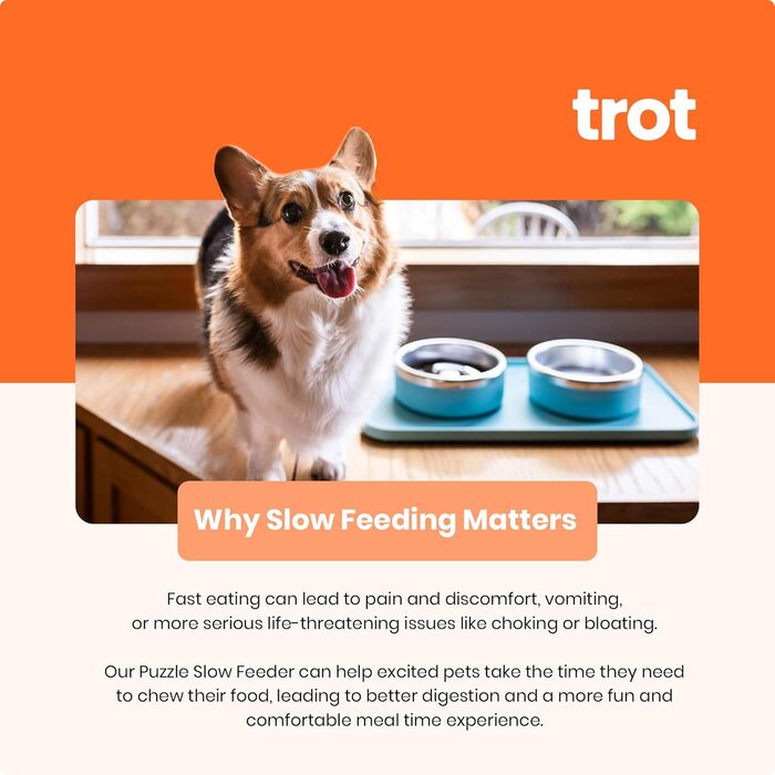Нержавіюча миска для собак Trot Pets з підняттям, для малих, середніх та великих порід, протиковзна, довговічна, BPA-free, для корму та води (Шифер, маленька)