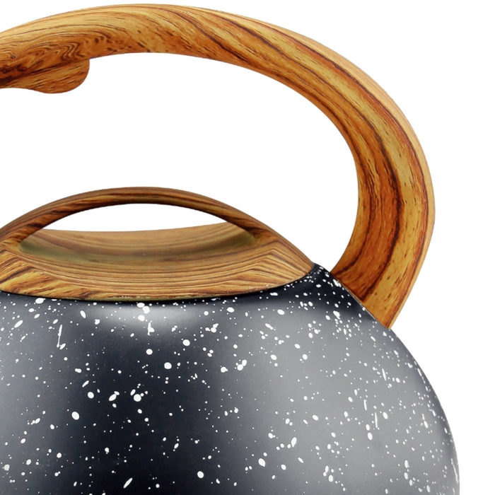 Класичний сталевий чайник Karl Hausmann, 3 л, чорний/сірий