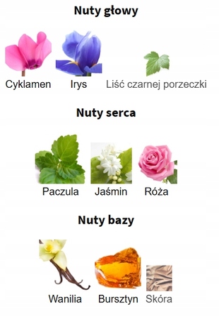 Парфумована вода для жінок Fragrance World Essence De Noir, 100 мл, спрей