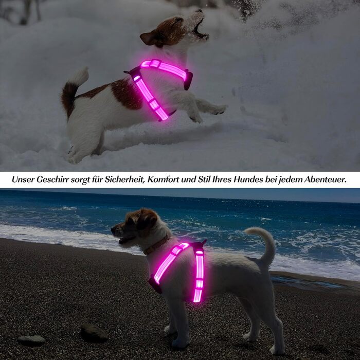 Світловідбиваючий нашийник для собак PZRLit з підзарядкою, для маленьких собак, XS, LED, для безпечних прогулянок вночі - Рожевий