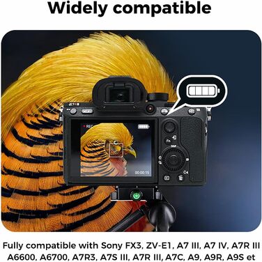Акумулятор BTECH NP-FZ100 2600mAh (2 шт.) з USB-зарядним пристроєм для камер Sony з акумулятором NP-FZ100