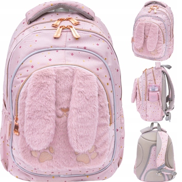 Багатокамерний шкільний рюкзак AstraBag, рожевий, 20 л