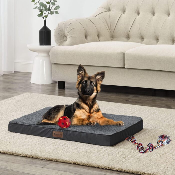 Ортопедичне ліжко для собак Juskys Milow, 76x51 см - м'яке та стабільне, знімний та пральний чохол. Підходить для маленьких собак - сірий колір.