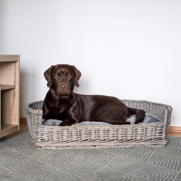 Крізьо для собак та котів UNU, плетений з лози та ротангу, сірий, 61 x 44,5 x 15,5 см (XL)