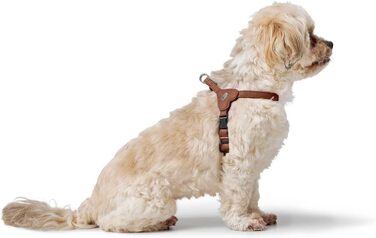 Нашийник для собак HUNTER SOHO MINI, колір: коричневий (cognac), шкіра, для маленьких собак та цуценят, Made in Germany, розмір XS