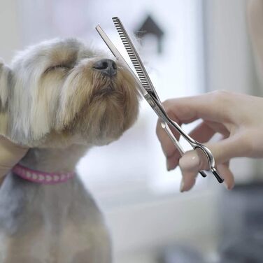 Ножиці для грумінгу собак та котів PURPLEBIRD 7.0 дюймів, вигнуті, з японської сталі 440C, ручна робота