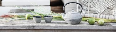 Bredemeijer Blue Flat Asia Teapot 1.1 Liter Cast Iron - Asia Cast Pot with Stainless Steel Tea Filter Strainer (1100ml, Black)