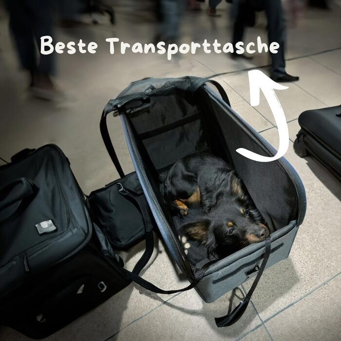 Annitaño Преміум переноска для собак, 55x40x23 см, EUWI - Водонепроникна, до 12 кг, комфортна для подорожей