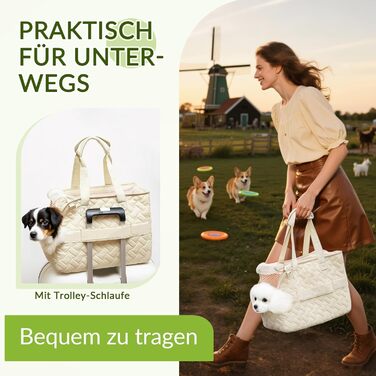 Транспортна переноска для котів та собак ASOPETS, м'яка переноска для тварин, зручна для подорожей, аксесуар для сумки-переноски з регульованим кріпленням (кремовий, S)