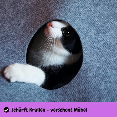CatMountain® Cat Carpet, Cat Tunnel, Cat Toy, Interactive Cat Toy, Kitten Toy for Your Cat.