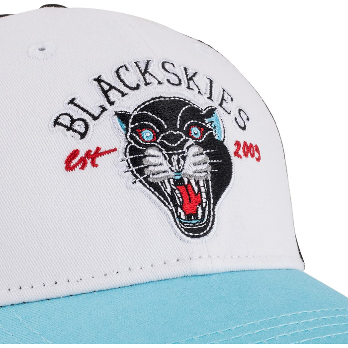 Кепка Snapback Blackskies® з візерунками та різними кольорами | Бейсболка для чоловіків та жінок | З м'якої шкіри | Літня кепка для відпочинку та повсякденного носіння | Унісекс | Streetwear, Outdoor, Summer, Casual, Один розмір (Panther - Baseball, Чорний-Синій)