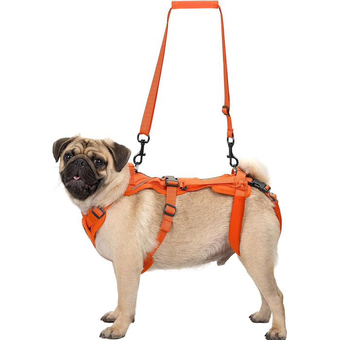 Шлейка для собак OneTigris Hopper для підтримки та реабілітації, XS (S:8-15кг, Обіх:36-51см, Грудка:51-69см), Помаранчевий