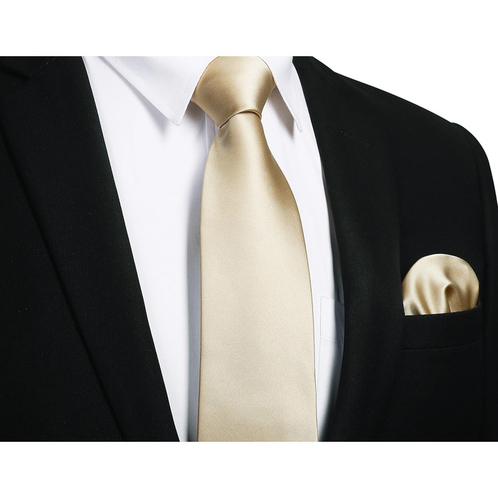 Краватка чоловіча Enlision для весілля: комплект краватки, нагрудного хустинки та краваткових затискачів. Шовк, візерунок павароті, різні кольори, колір шампань