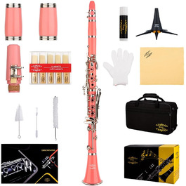 Професійна кларнет Glory GLY-CLAGN з ебоніту, Bb, з аксесуарами (10 вставок, стійка, кейс, серветка, щітки), зелений (рожево-сріблястий)