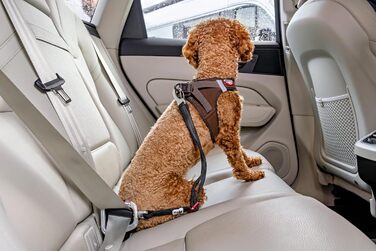 Large Car Safety Belt V2 L - Enhanced Vehicle Safety Restraint