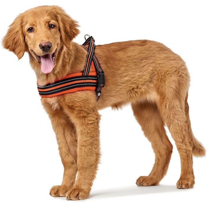 Шнурки HUNTER Norwegergechirr Meldal, 37-44 см (помаранчевий, S)