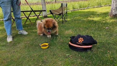 Контейнер для корму для собак, 11.8 кг, 20 л, чорний. Складаний, витримує воду, для подорожей, кемпінгу та дому