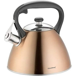 Свисток-чайник з нержавіючої сталі, 3 л, для індукційних, газових та електричних плит (Gold)