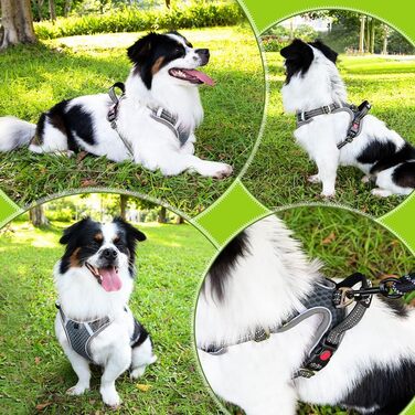 Шлейка для собак маленьких та середніх порід, Air Mesh дихаюча, з м'якою ручкою та замикаючими карабінами, анти-вислизаюча, світловідбиваюча, для цуценят (Сірий, M)