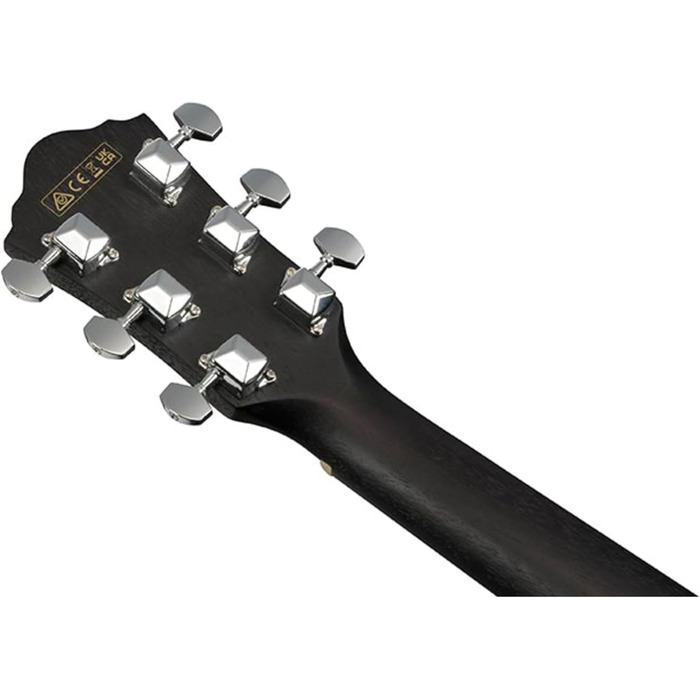 Акустична гітара Ibanez VC 6-струнна Weathered Black Open Pore