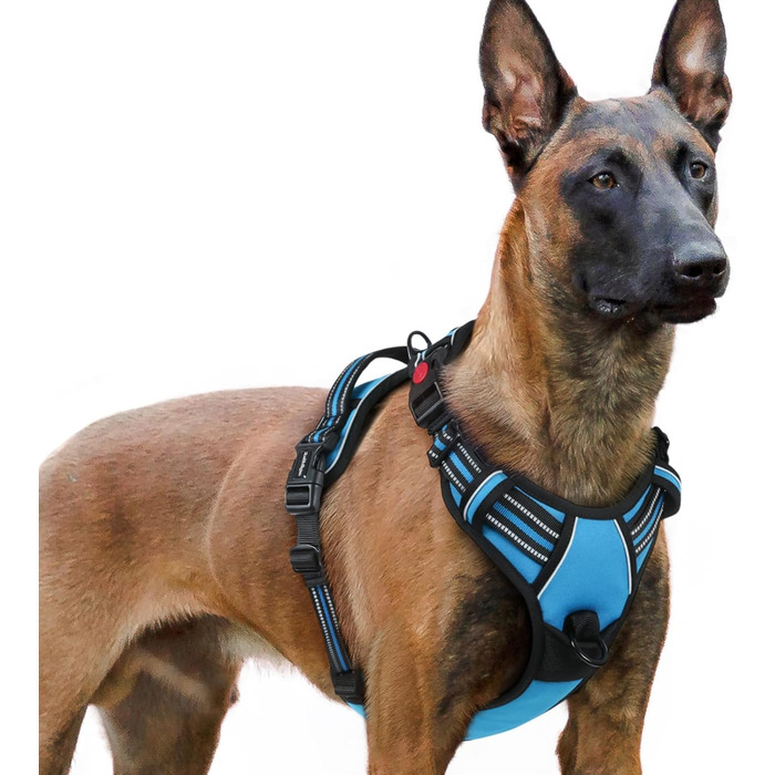 Нашийник для собак Rabbitgoo, великі породи, регульований, проти тяги, з ручкою, м'який, світловідбиваючий, блакитний, L (XL, 1 шт.)