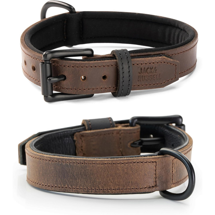 Нашийник для собак Джек Рассел з натуральної шкіри та неопрену – м'який та міцний нашийник для маленьких та великих собак – преміум нашийник Craig (L) L (42.0-51.0 см)