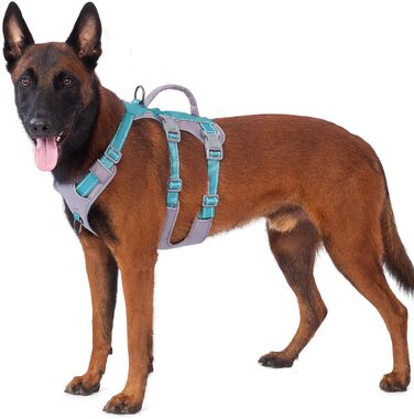 Шлейка безпеки Huntboo для собак, антизламна, від паніки, з ручкою, регульована, для малих, середніх та великих собак (M), блакитно-зелений (1 шт.)