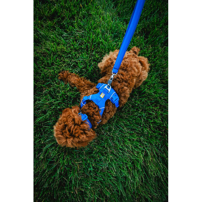 Нашийник для собак Ruffwear Front Range з V-подібним кільцем, регульований, зручний, м'який, для собак, з кільцем для повідка, 11'-14' (Базальтовий Grey, 20'-26')