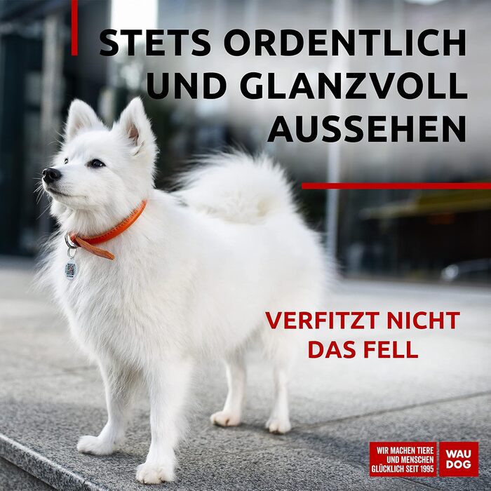 Стильний шкіряний нашийник для собак WAUDOG: для маленьких, середніх та великих порід, 20-25 см, 8 мм, помаранчевий