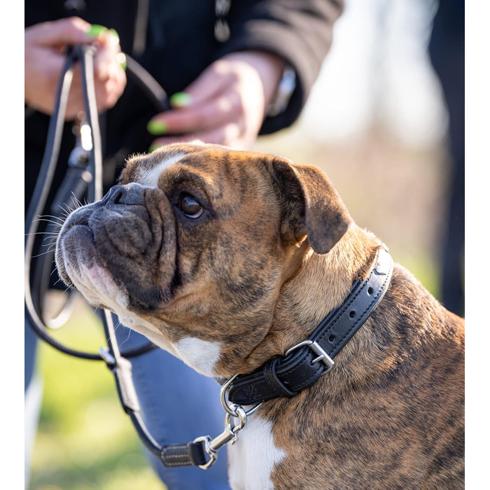 Нашийник для собак Jack Russell з натуральної шкіри чорного кольору з аплікаціями у вигляді серця та квітки, подвійний шар, розмір S (26.0-36.0)