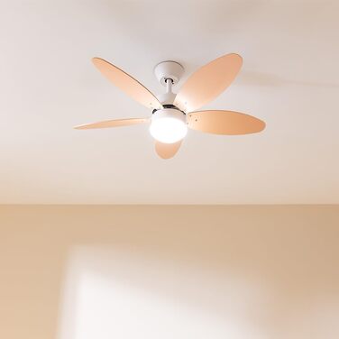 Стельовий вентилятор Cecotec EnergySilence Aero 4260 Orange 42 дюйми з LED, пультом, таймером та 6 швидкостями