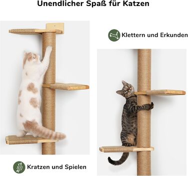 Kratzbaum, 5-story cat tree reaching the ceiling (206 cm), wall-mounted cat tree, made of natural rubber wood, for cats to climb, scratch, look out, and play.