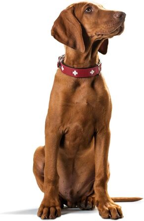 Нашийник для собак HUNTER Swiss, червоно-чорний, м'яка шкіра, ручна робота, розмір M-L (60)