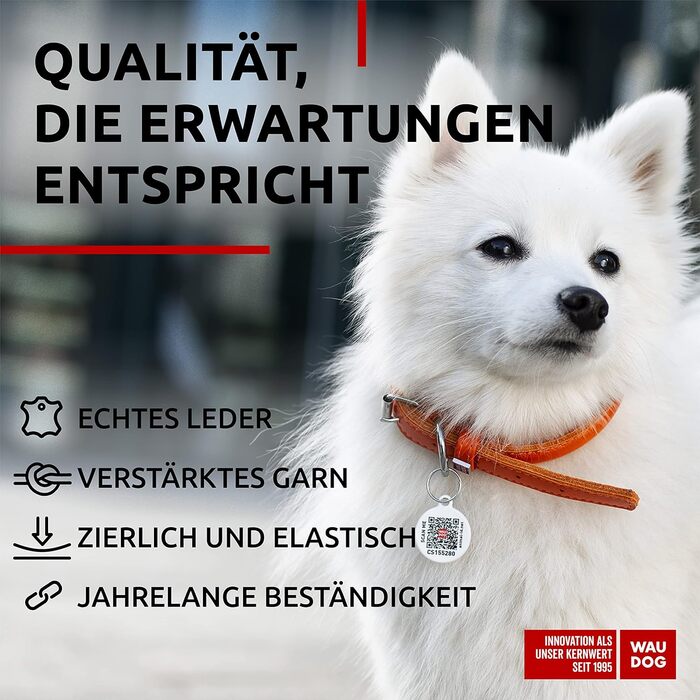 Стильний шкіряний нашийник для собак WAUDOG: для маленьких, середніх та великих порід, 20-25 см, 8 мм, помаранчевий