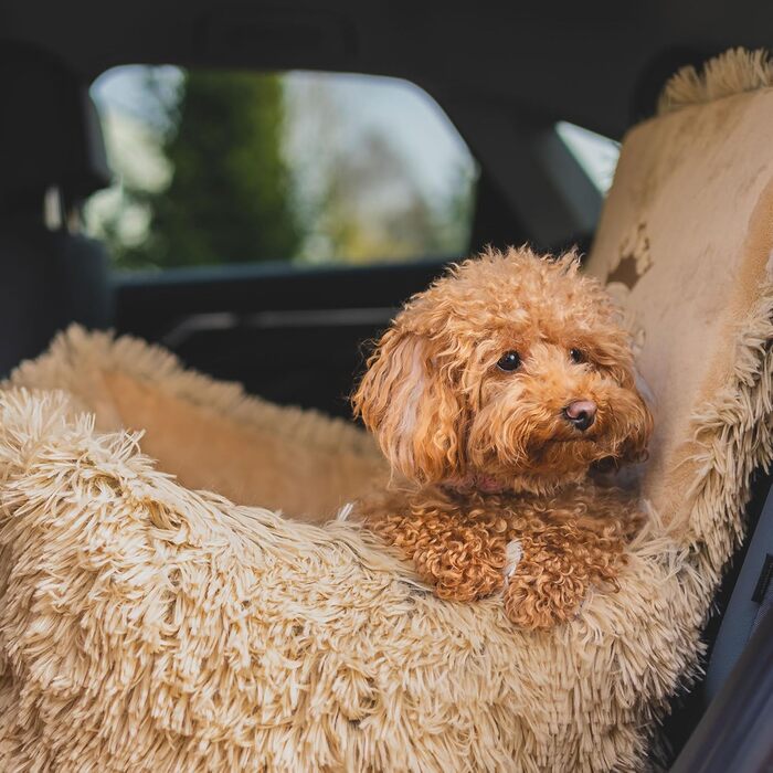 Автокрісло для собак та котів Bella Teddy, чорне, з штучної шкіри, 55x55 см, універсальне, миється