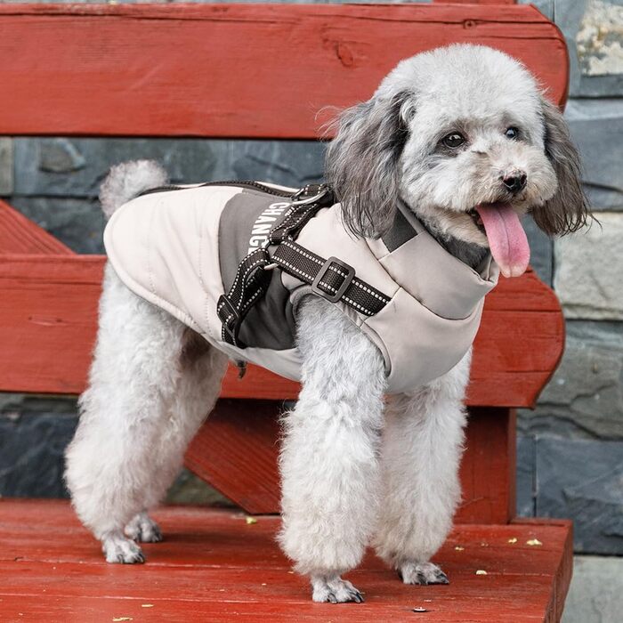Osleidy Dog Winter Coats, Warm Dog Coats Reflective Dog Clothing Waterproof Puppy Vest for Cold Weather with Dog Harness for Small Medium Dogs (White, M)