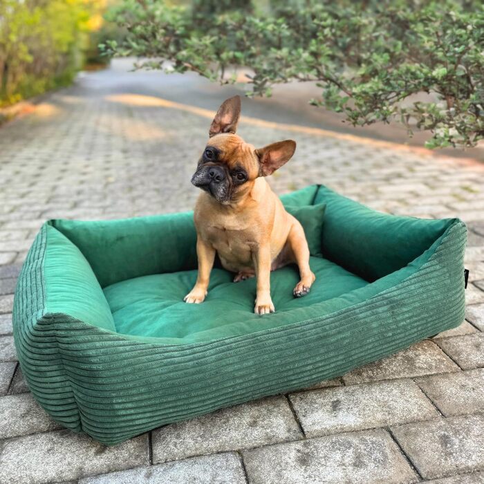 М'яке ліжко для собак 4L Textil Molly, корзина для собак, подушка для собак та котів, корзинка для собак, мохет (60x40 см, зелений)
